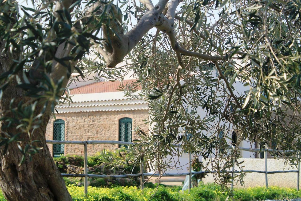 מסינה Tenuta Rasocolmo מראה חיצוני תמונה